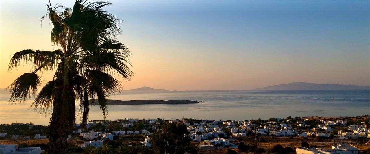 Villa Rossi Paros Luxury Apartments And Suites Drios Extérieur photo