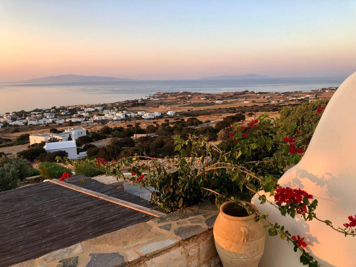 Villa Rossi Paros Luxury Apartments And Suites Drios Extérieur photo